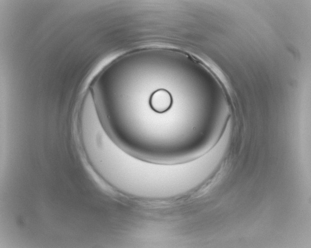 X0000115741293200911251952