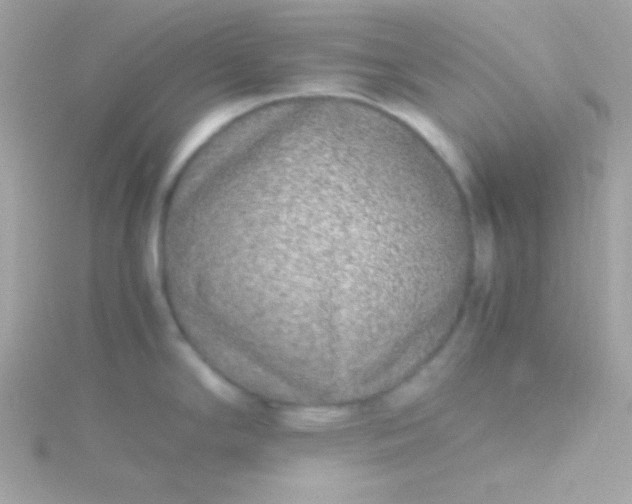 X0000115741294200911251952