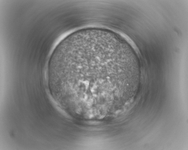 X0000115741295200911251952