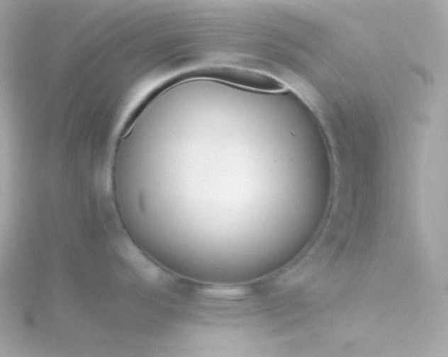 X0000115741296200911251952