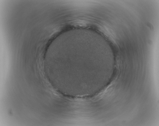 X0000115741297200911251951