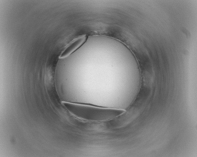 X0000115741298200911251951