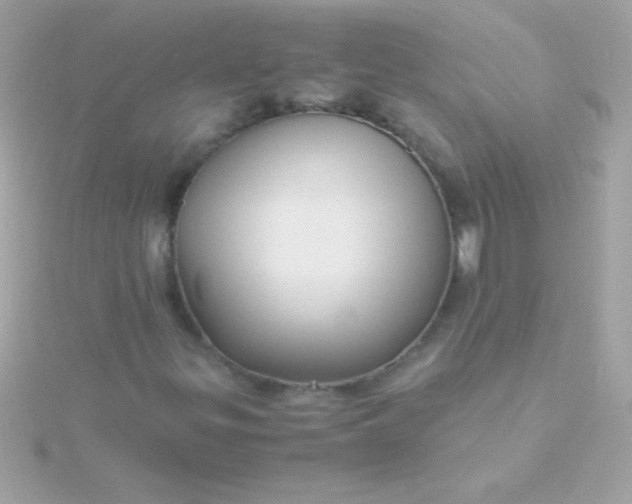 X0000115741299200911251951