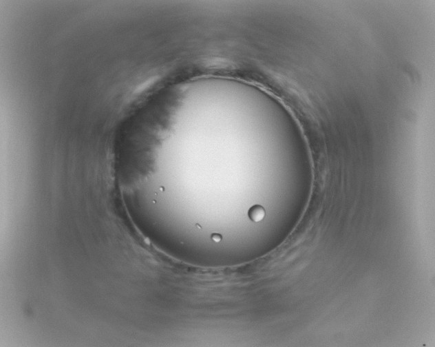 X0000115741301200911251951