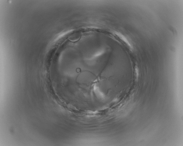 X0000115741303200911251951