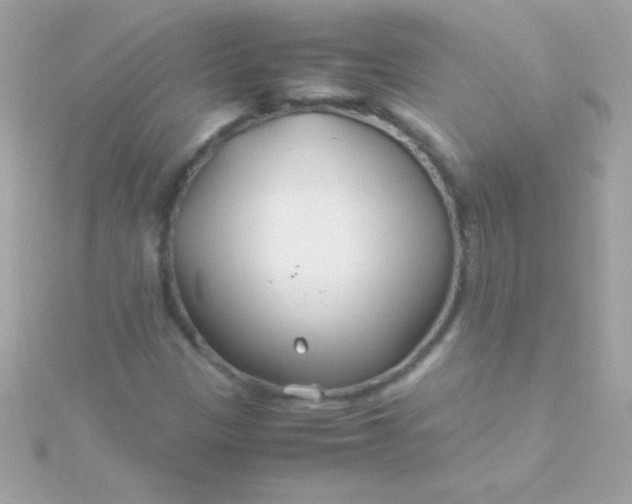 X0000115741305200911251951