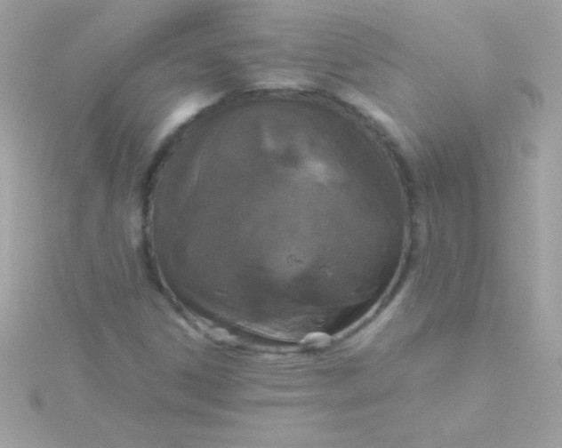 X0000115741306200911251951