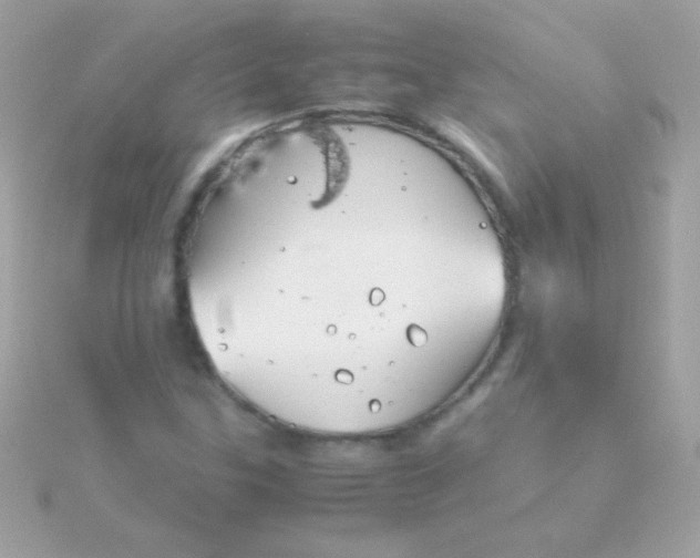 X0000115741307200911251951