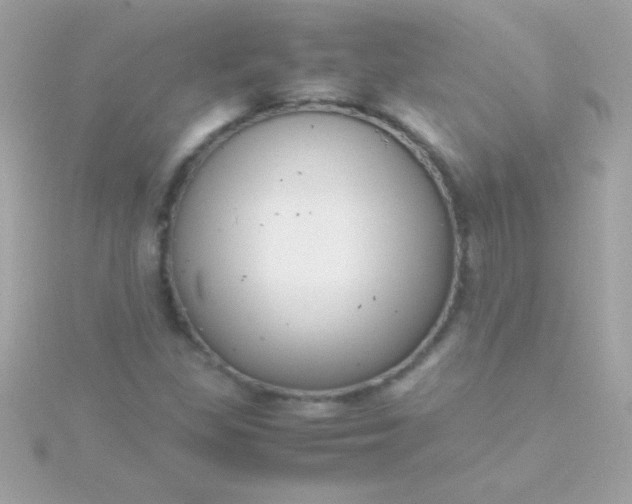 X0000115741309200911251951