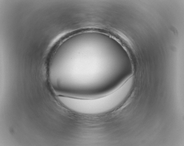 X0000115741310200911251951