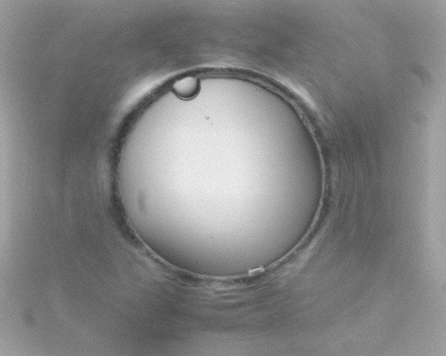 X0000115741311200911251951