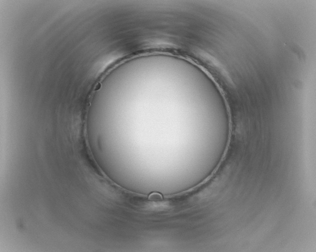 X0000115741313200911251951