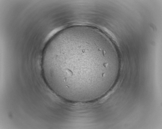 X0000115741314200911251951