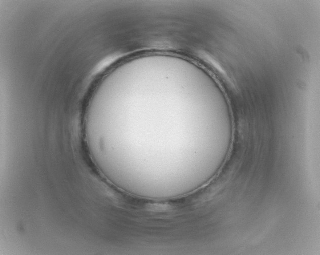 X0000115741315200911251951