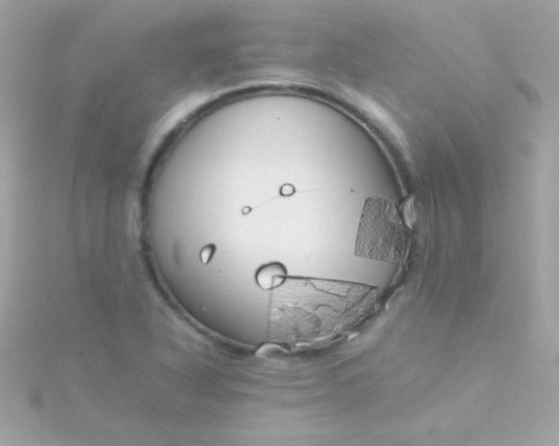 X0000115741318200911251951