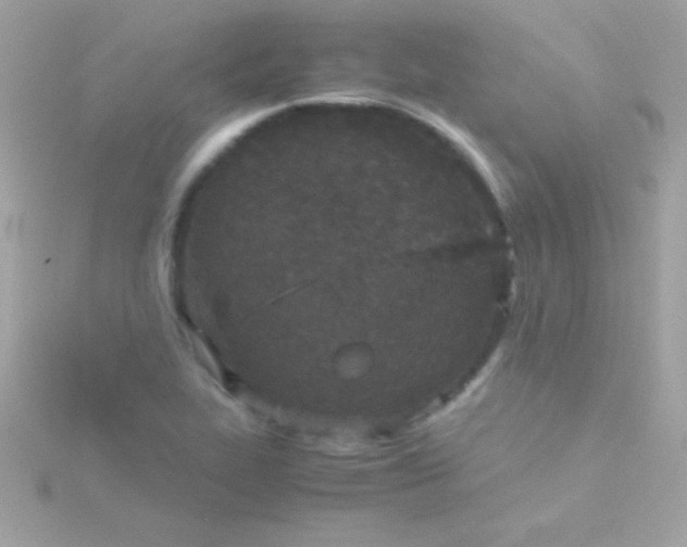 X0000115741319200911251951