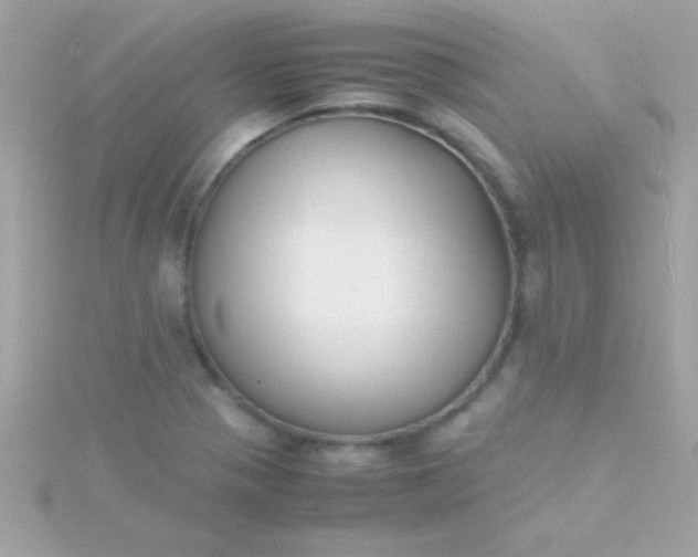 X0000115741321200911251951