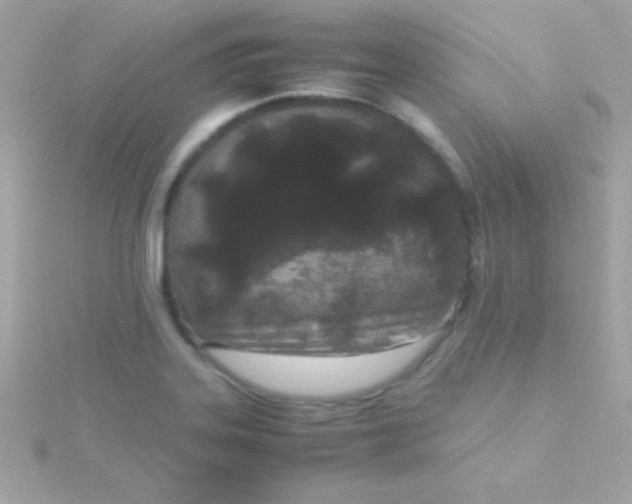 X0000115741323200911251951