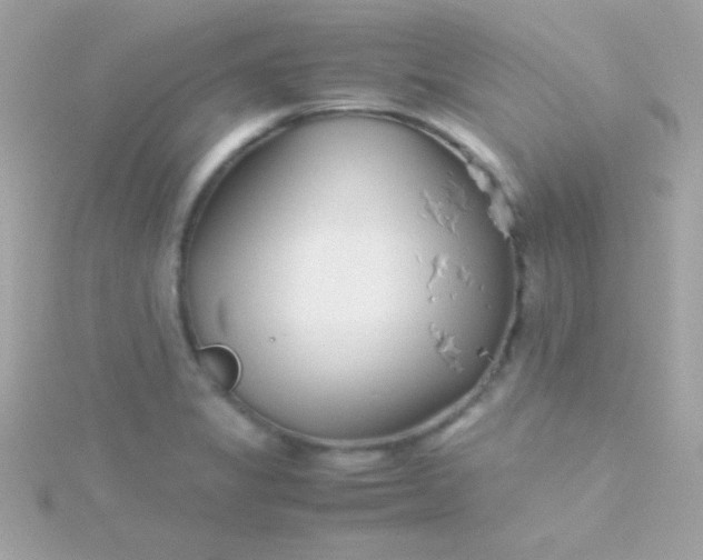 X0000115741325200911251951