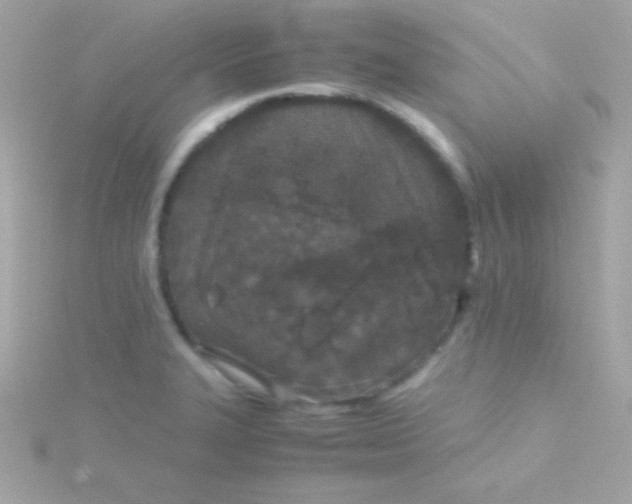 X0000115741327200911251951