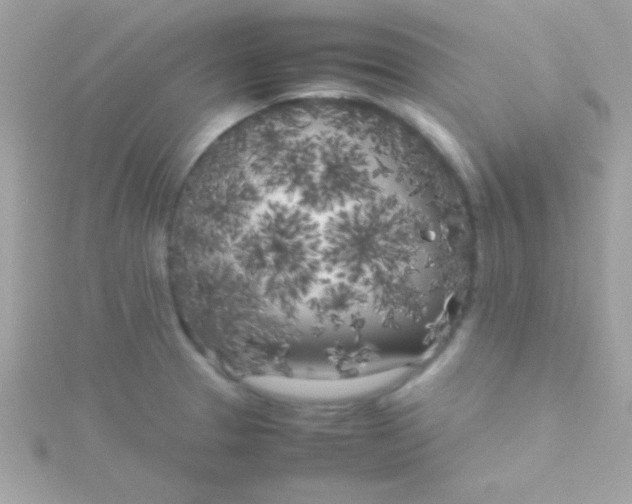 X0000115741329200911251951