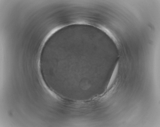 X0000115741331200911251951