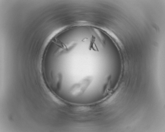 X0000115741333200911251951