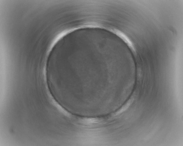 X0000115741334200911251951