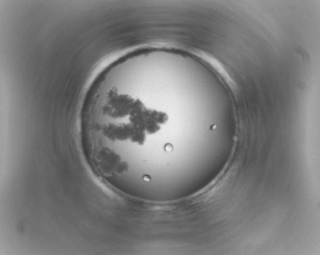 X0000115741335200911251951