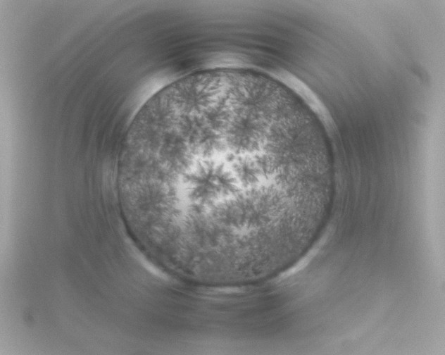 X0000115741337200911251951