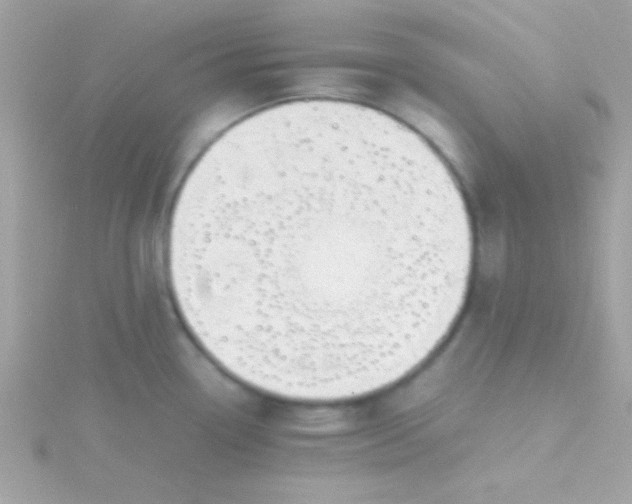 X0000115741338200911251951