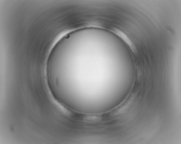 X0000115741339200911251951