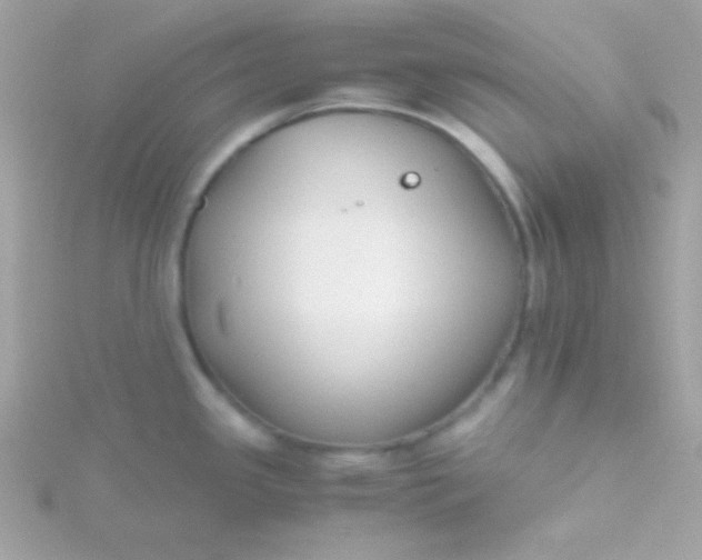 X0000115741341200911251951