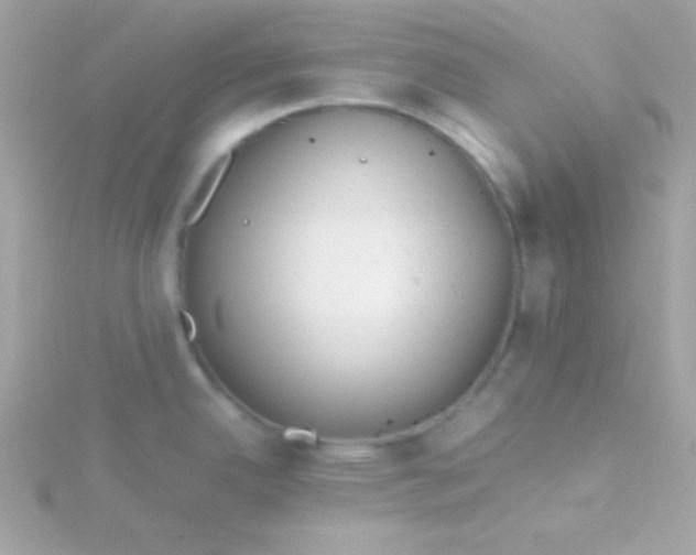 X0000115741342200911251951