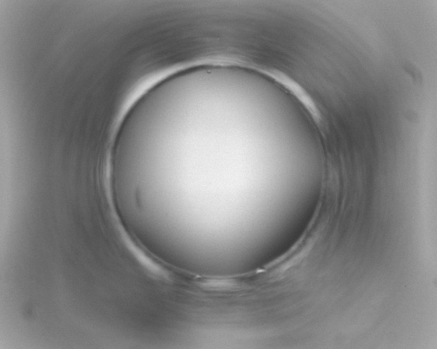 X0000115741343200911251951