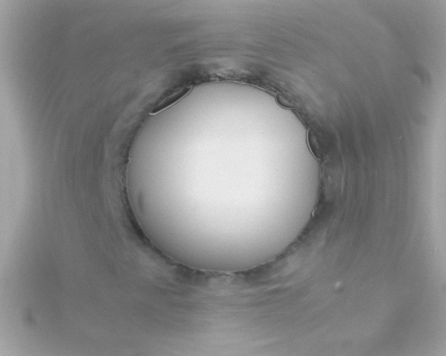 X0000115741345200911251951