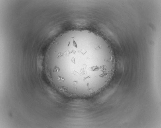 X0000115741346200911251951