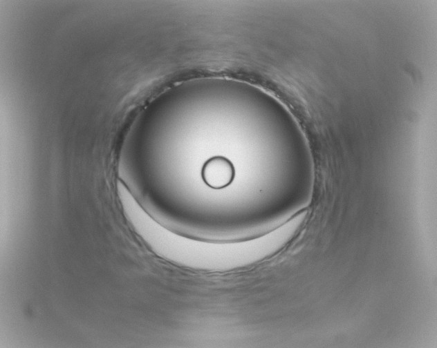 X0000115741349200911251951