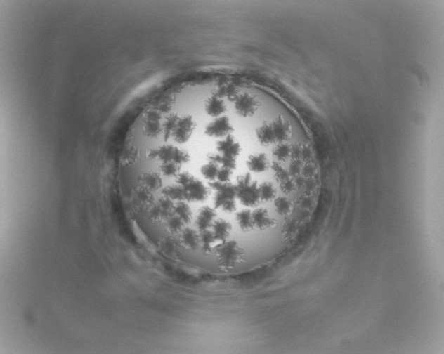 X0000115741351200911251951