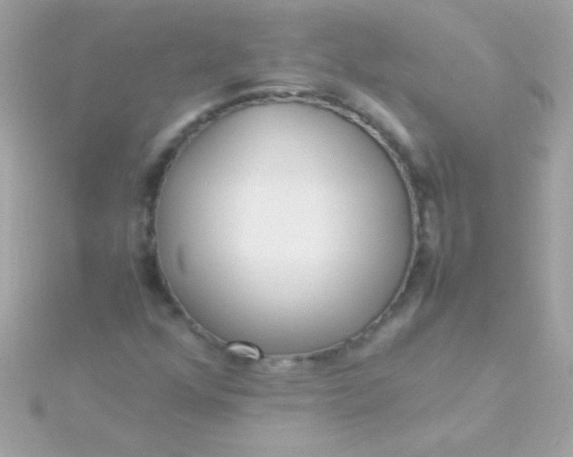 X0000115741352200911251951