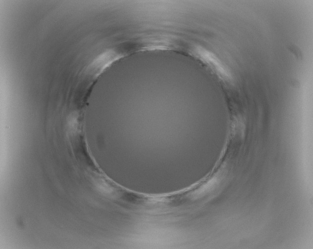 X0000115741353200911251951