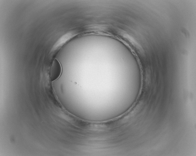 X0000115741354200911251951