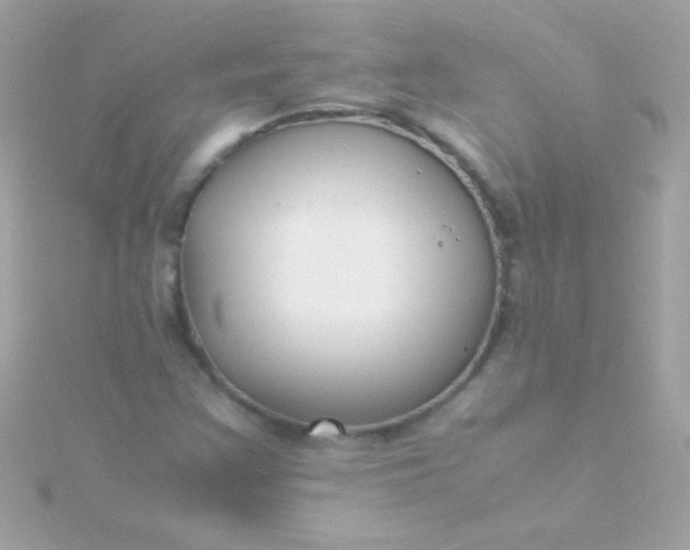 X0000115741355200911251951