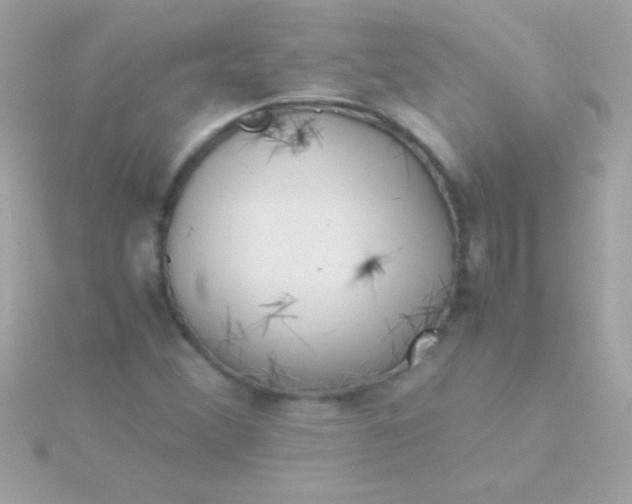 X0000115741356200911251951