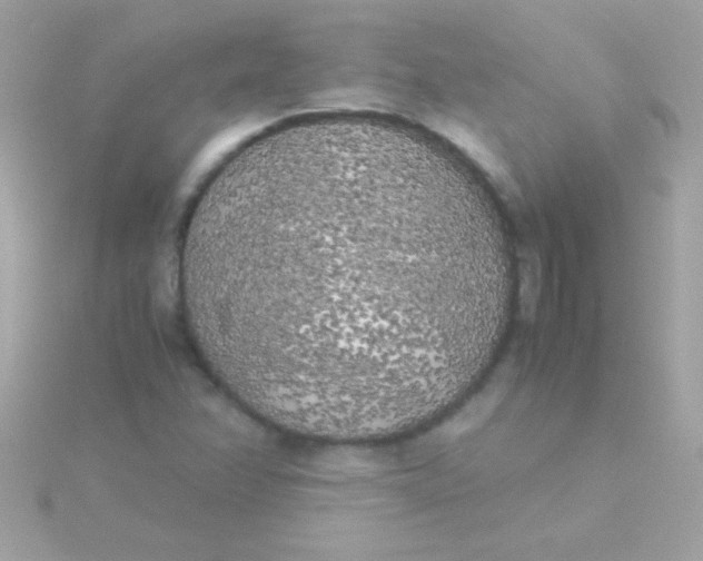 X0000115741358200911251951