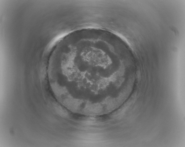 X0000115741359200911251951