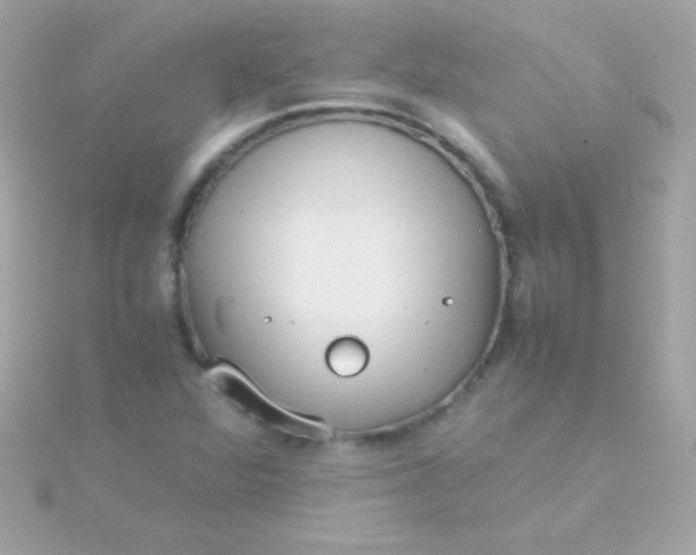 X0000115741360200911251951