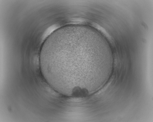 X0000115741362200911251950