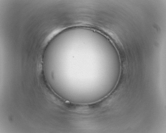 X0000115741363200911251950