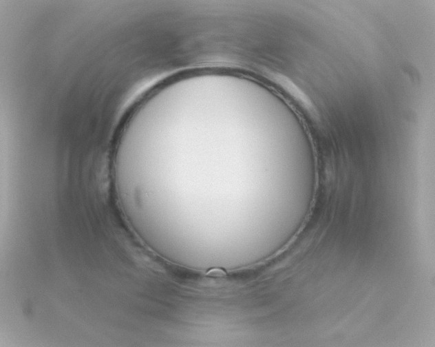 X0000115741364200911251950